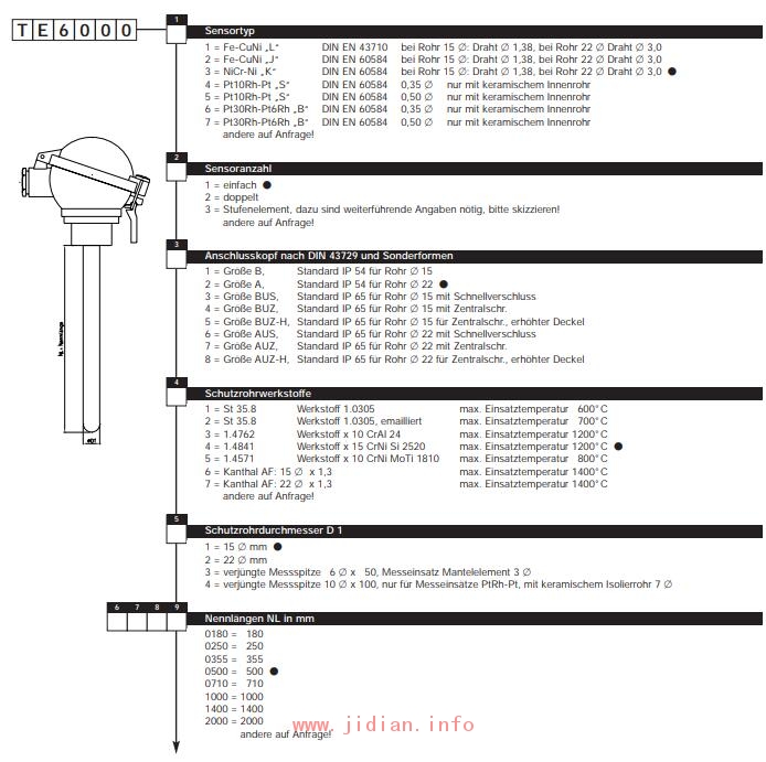 Tematec 热电偶 TE6000 特马泰克 Tematec GmbH