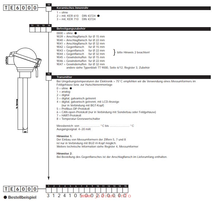 Tematec 热电偶 TE6000 特马泰克 Tematec GmbH
